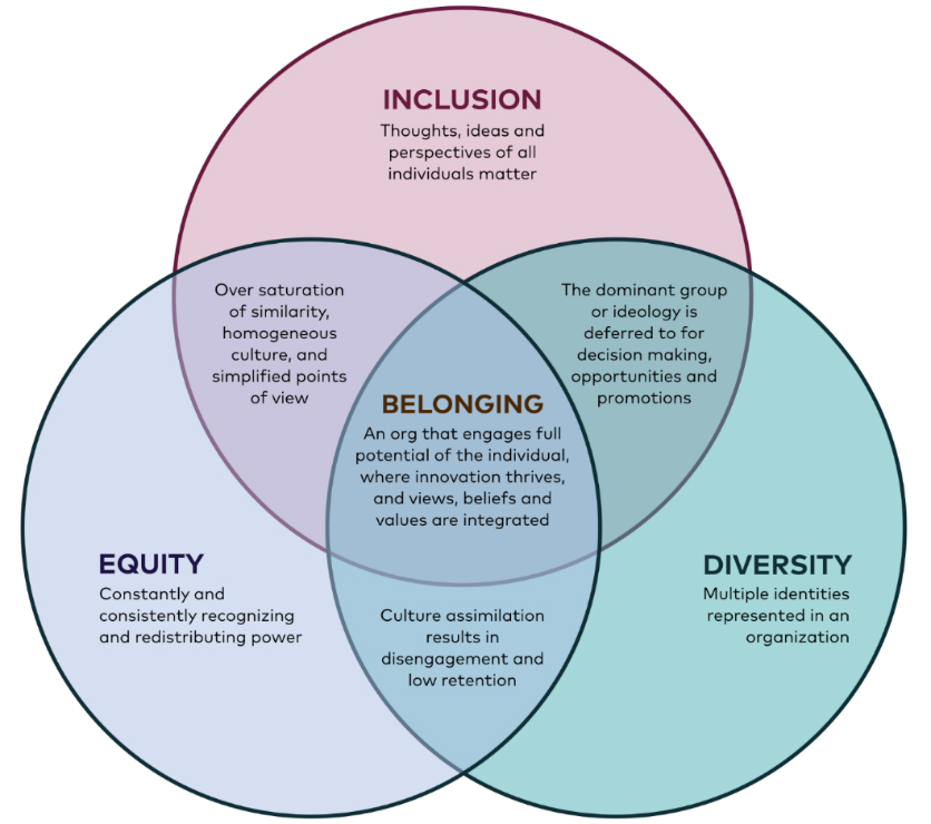 Diversity & Inclusion In The Recreation Profession - Ingr... | Cuotas Sin Interés